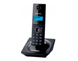 Panasonic KX-TG1711 (KX-TG1711RUB)