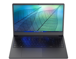 HIPER Workbook N15RP AMD Ryzen 3 3250U 2600MHz/15.6"/1920x1080/8GB/256GB SSD/AMD Radeon Vega 3/Linux Astra (N15RP93AS) Черный