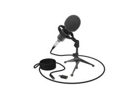 RITMIX RDM-160 (80000132) Черный