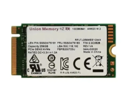 Lenovo 256 ГБ M.2 (RPJTJ256MEE1OWX)