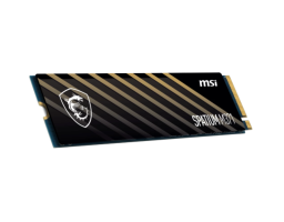 MSI SPATIUM M371 SSD 500Gb (S78-440K160-P83)