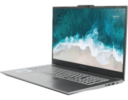 Nerpa Caspica I552-17 Intel Core i5 1235U 1300MHz/17.3"/1920x1080/16GB/1024GB SSD/Intel Iris Xe Graphics/Wi-Fi/Bluetooth/Windows 10 Pro (I552-17VA161401G) Grey