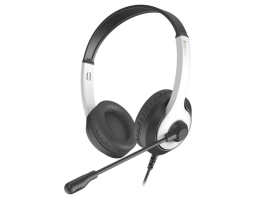 A4Tech Fstyler FH100U (FH100U (PANDA))