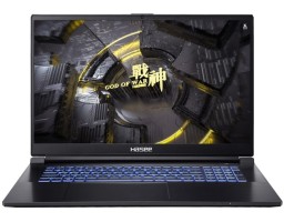 HASEE G8R9 Intel Core i9 13900H 2600MHz/17.3"/2560x1440/16GB/1024GB SSD/NVIDIA GeForce RTX 4060 8GB/Wi-Fi/Bluetooth/Без ОС (G8R9) Black