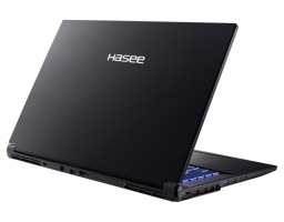 HASEE G8R9 Intel Core i9 13900H 2600MHz/17.3"/2560x1440/16GB/1024GB SSD/NVIDIA GeForce RTX 4060 8GB/Wi-Fi/Bluetooth/Без ОС (G8R9) Black