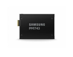 Samsung PM1743 1.92Tb  (MZWLO1T9HCJR-00A07)
