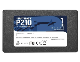 Patriot Memory 1Tb (P210S1TB25)