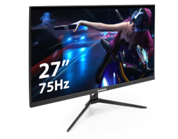 ExeGate 27" ProSmart EV2707A (EX294345RUS)