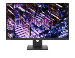 Lenovo 24" ThinkVision E24q-30 (63ECGAT2UK)
