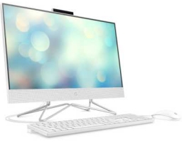 HP All-in-One 24-df0015ur (14P86EA) AMD Athlon 3050U 2.3 GHz/4096 Mb/1000 Gb HDD/23.8" Full HD 1920x1080/DVD нет/AMD Radeon Graphics/Windows 10 Home
