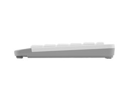 A4TECH Fstyler FBK11 (FBK11 WHITE) White