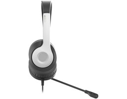 A4Tech Fstyler FH100U (FH100U (PANDA))