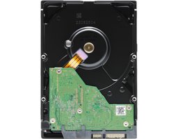 Western Digital Purple 4Tb SATA-III (WD43PURZ)