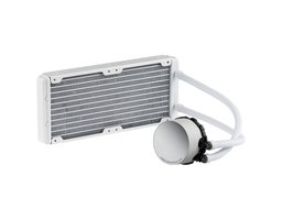 ADATA XPG LEVANTE X 240 White (LEVANTEX240-WHCWW)