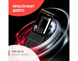 PC PET SSD 256Gb (PCPS256G3) OEM