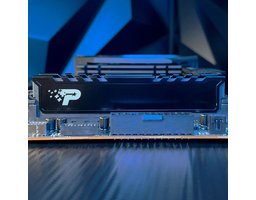 Patriot Signature Premium 16Gb DDR5 5600MHz (PSP516G560081H1)