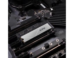 ADATA XPG Gammix S60 512Gb (AGAMMIXS60-512G-CS)