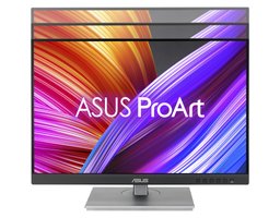 ASUS 24" PA248CNV (90LM05K1-B03370)