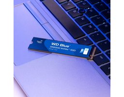 WD Blue SN5000 1Tb (WDS100T4B0E)