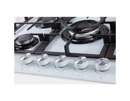 MBS PG-801WH