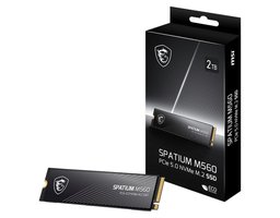 MSI SPATIUM M560 2Tb (S78-440Q940-P83)