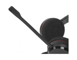 Jabra Evolve 20 MS Stereo USB-A/C (4999-823-169)