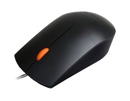 Lenovo 300 Black (GX30M39704)