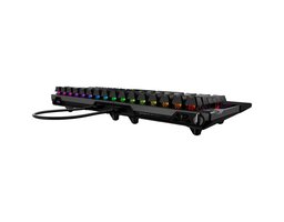 ASUS ROG FALCATA Black (90MP043H-BKRA00)