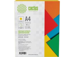 Cactus CS-CPY-A480500