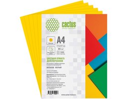 Cactus CS-CPY-A480500