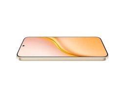 Honor X9e Pro 8/256GB (5109CQMY) Dawn Gold