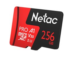 Netac NT02P500PRO-256G-R