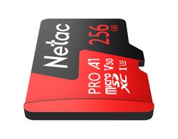 Netac NT02P500PRO-256G-R
