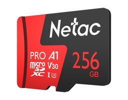 Netac NT02P500PRO-256G-R