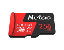 Netac NT02P500PRO-256G-R